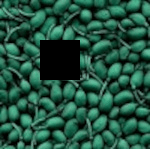 _images/1.gif