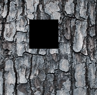 _images/3.gif